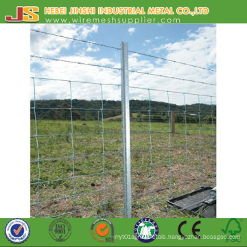 Hot-Dipped Galvanized Frame Finishing Y Type Post Star Picket Made in China